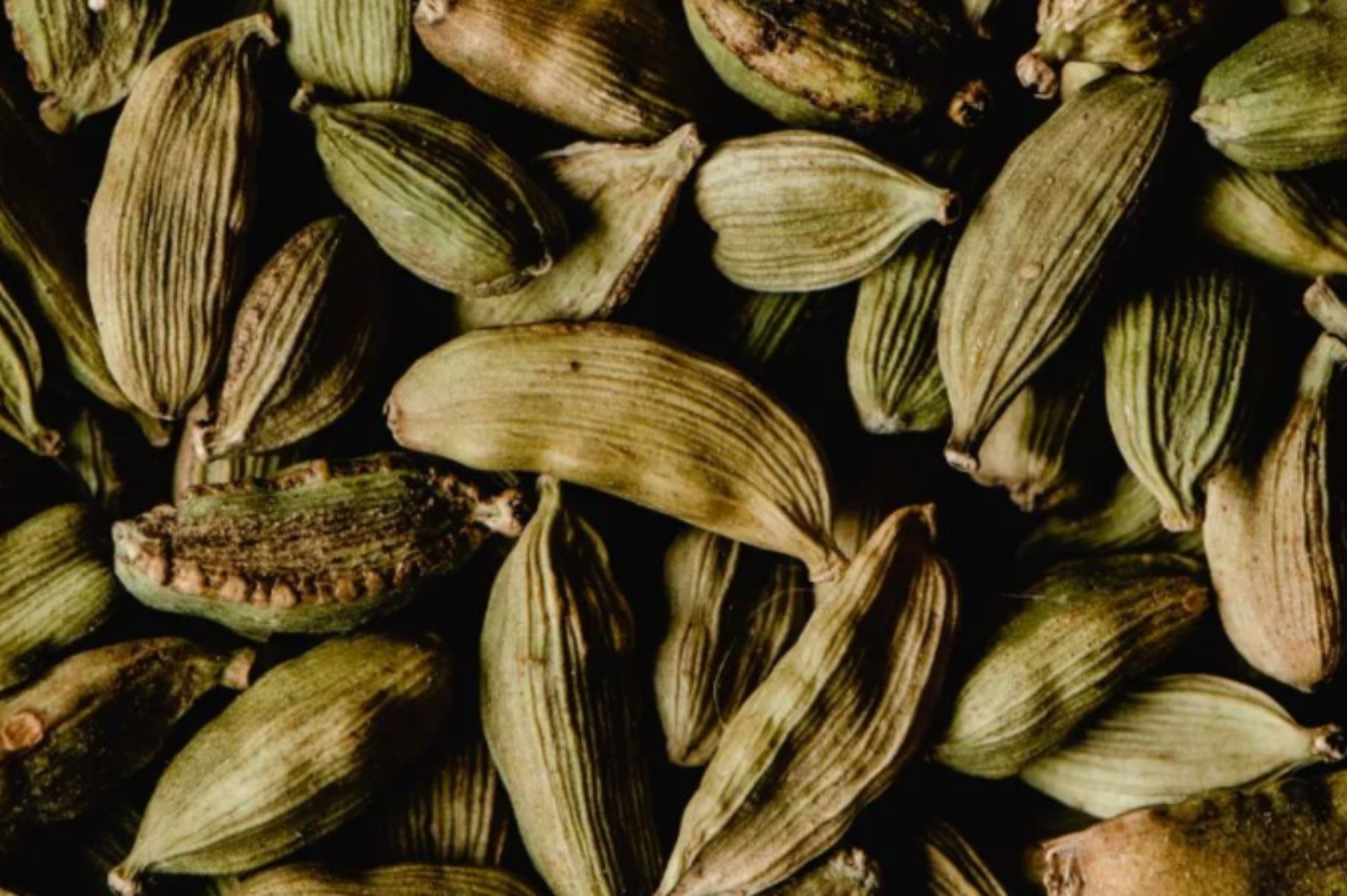 小荳蔻 Cardamom