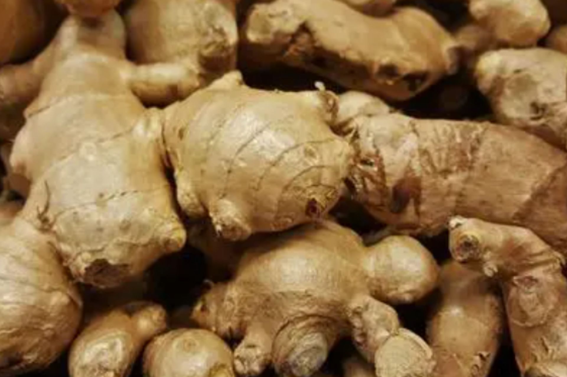 薑 Ginger