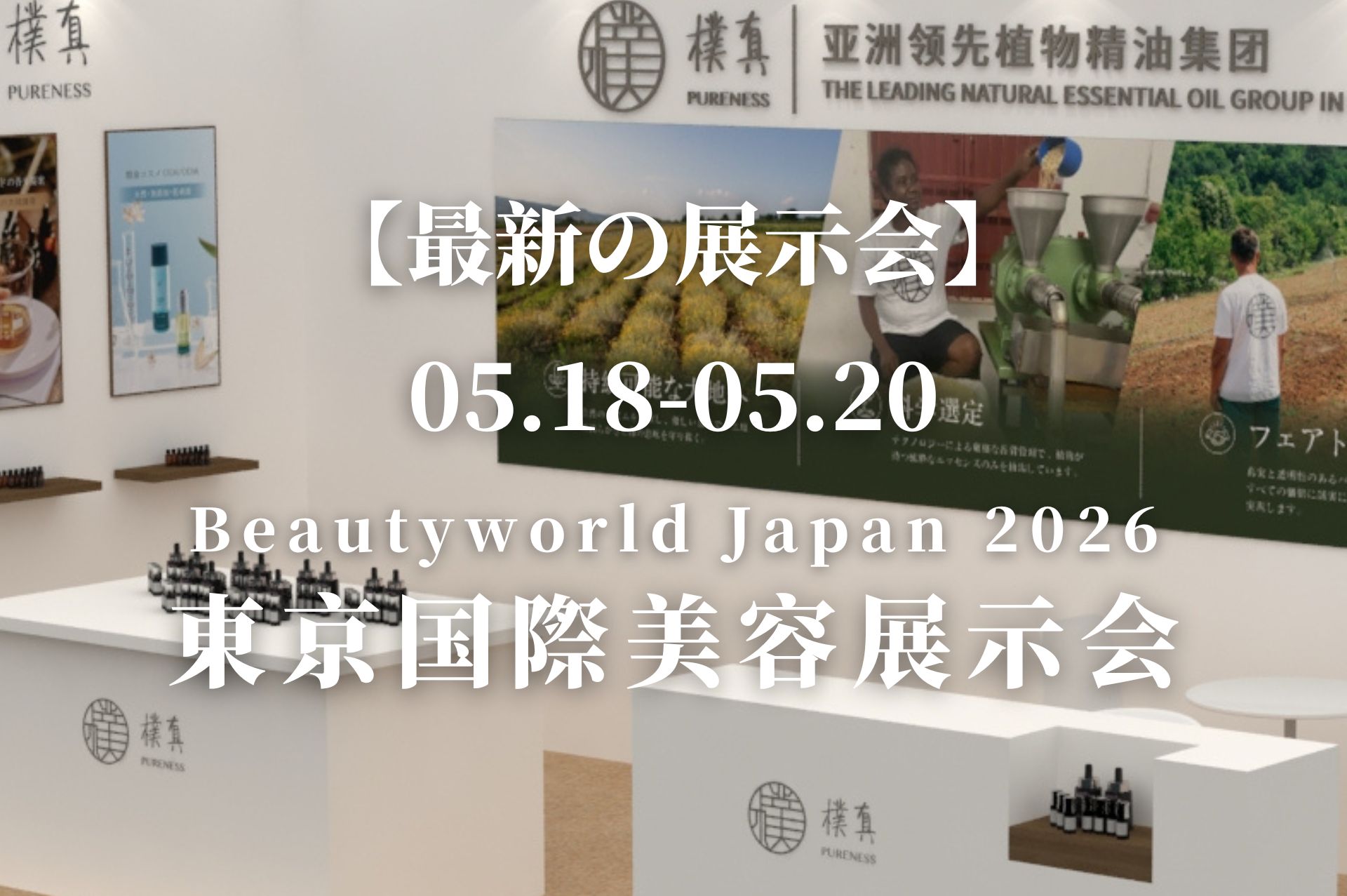 2605日本展(日)